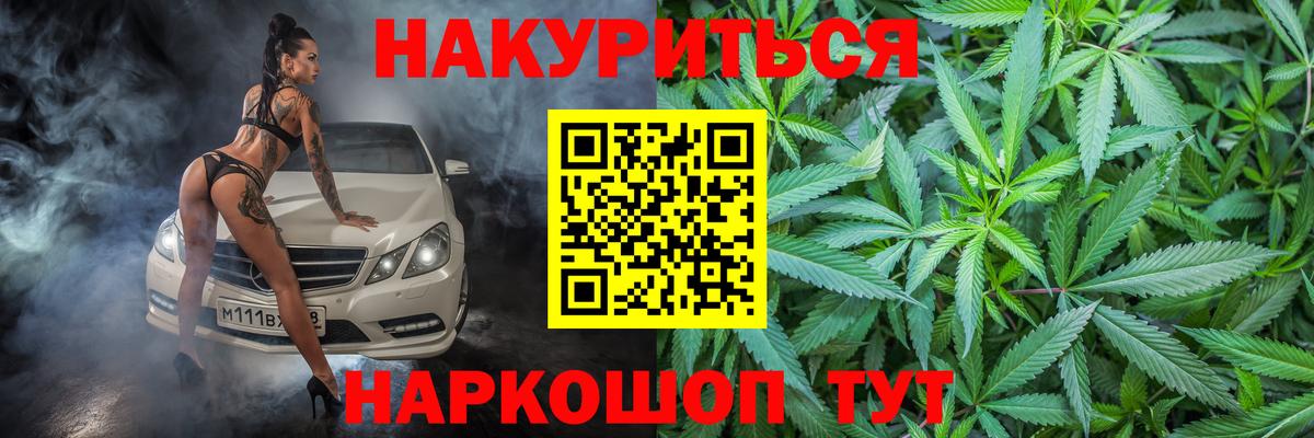 Бошки марихуана конопля Балтийск